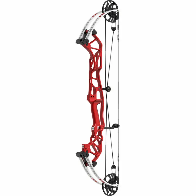 CONCEPT FX - 121298-12.webp