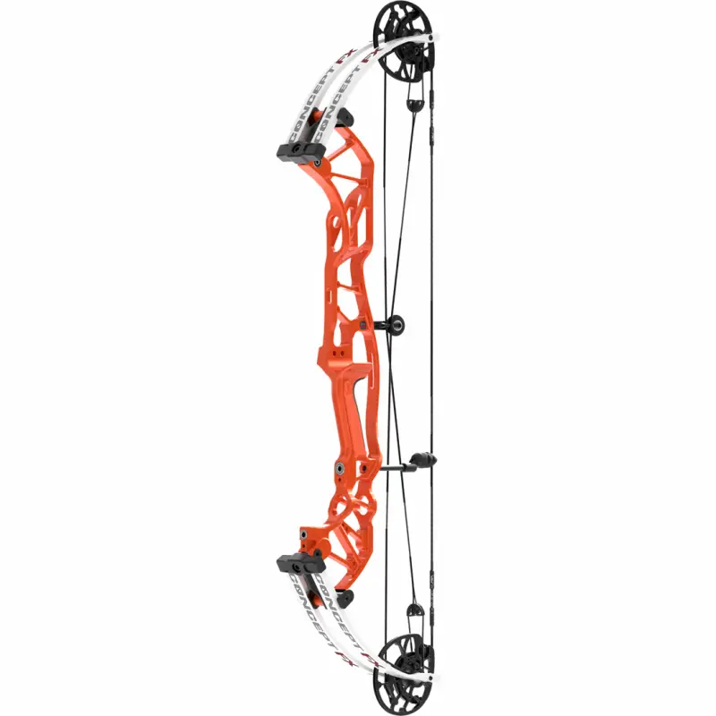 CONCEPT FX - 121298-22.webp