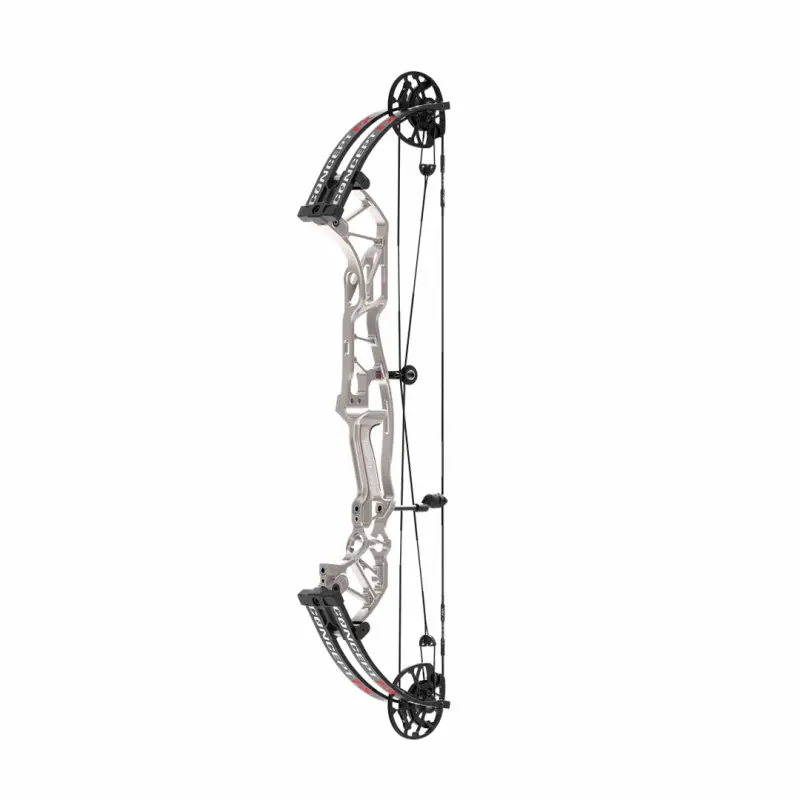 CONCEPT FX - 121298-25.webp