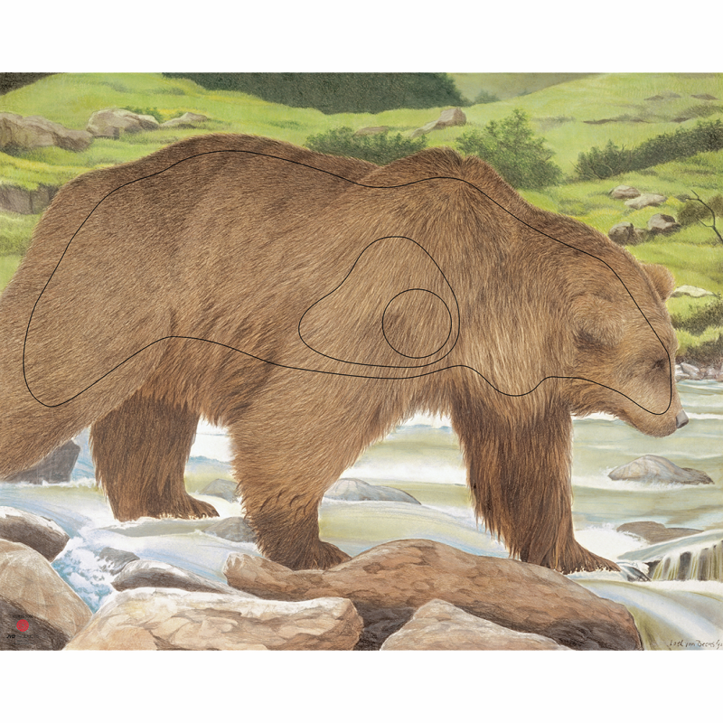 JVD – DIANA 2D OSO