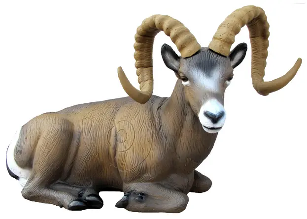 SRT – CARNERO DE LAS ROCOSAS ACOSTADO