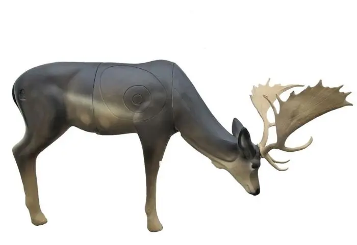 SRT – GAMO  DE INVIERNO PASTANDO