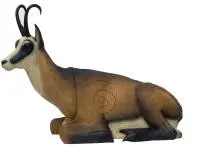 SRT – GAMUZA DE VERANO ACOSTADA