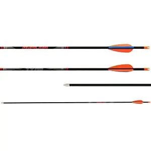 FLECHA INICIACION - AVALON TYRO 