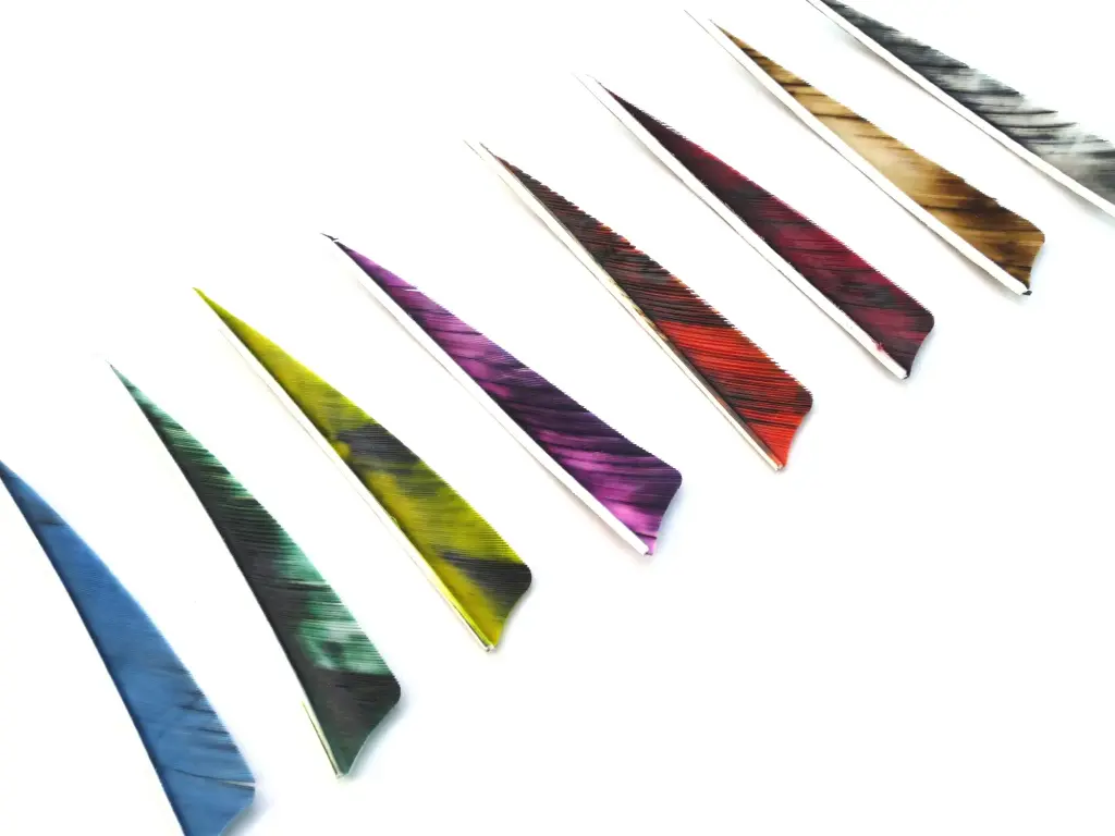 GATEWAY – ESCUDO TRE BARK 